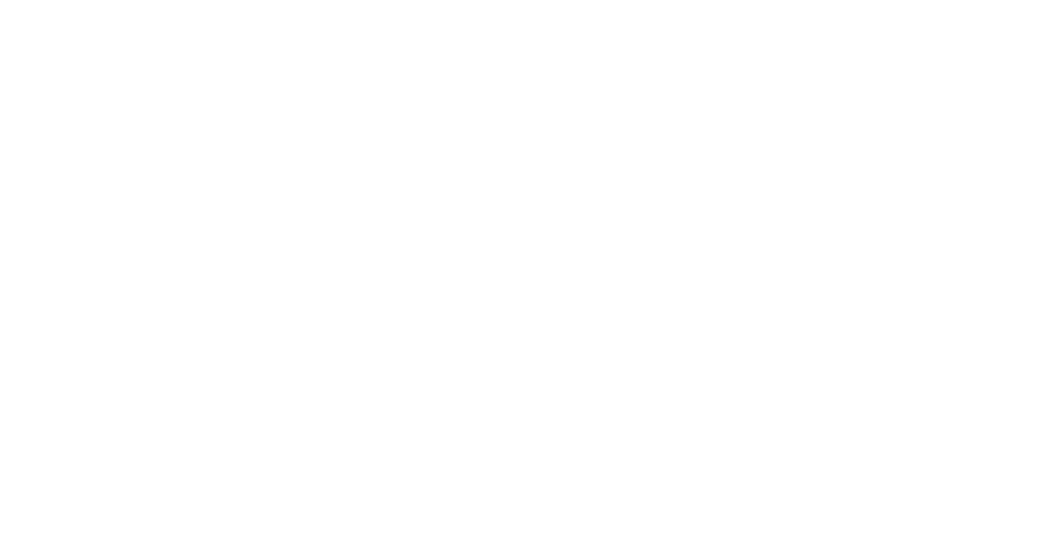 Mercanti in Festa
